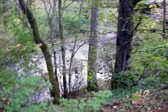 20041013-445