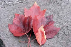 20041013-461