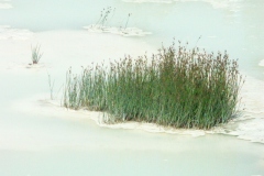 Minolta DSC