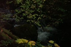 Minolta DSC