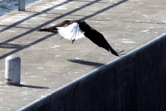 20070308d-003