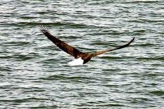 20070308d-005