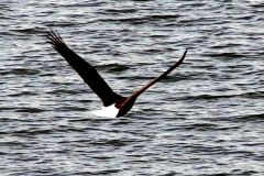 20070308d-006