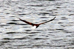 20070308d-007