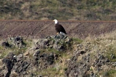 20070308d-008