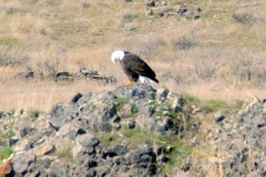 20070308d-009