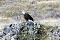 20070308d-010