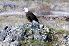 20070308d-011