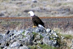 20070308d-012