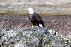 20070308d-014