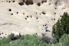 20070604-042