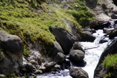 SONY DSC