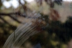 SONY DSC