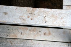 SONY DSC