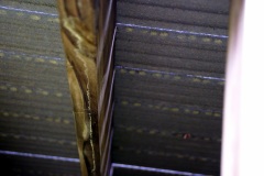 SONY DSC
