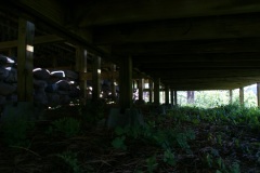 SONY DSC