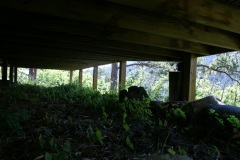 SONY DSC