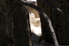 SONY DSC