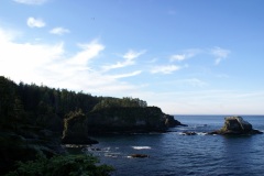 SONY DSC