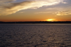 SONY DSC