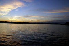 SONY DSC