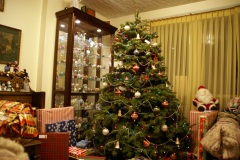SONY DSC