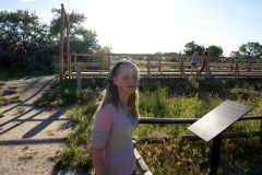 SONY DSC