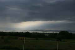 SONY DSC