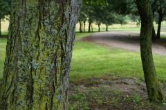 SONY DSC