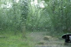 SONY DSC