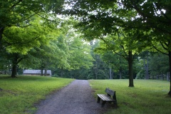 SONY DSC