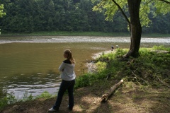 SONY DSC