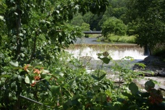 SONY DSC