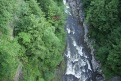 SONY DSC