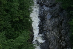 SONY DSC
