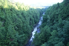 SONY DSC