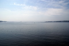SONY DSC