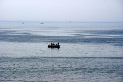 SONY DSC