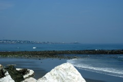 SONY DSC