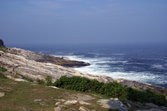 SONY DSC