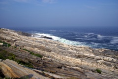 SONY DSC