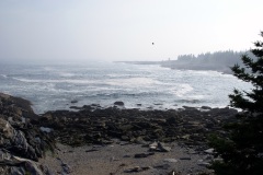 SONY DSC