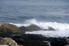 SONY DSC