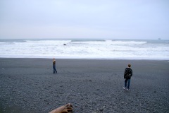 SONY DSC