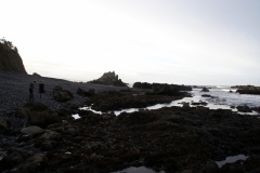 SONY DSC