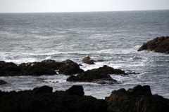 SONY DSC