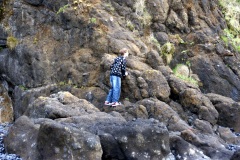 SONY DSC
