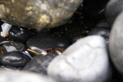 SONY DSC