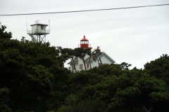 SONY DSC