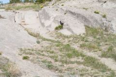 20090515-015